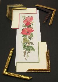 Some framing sample choices